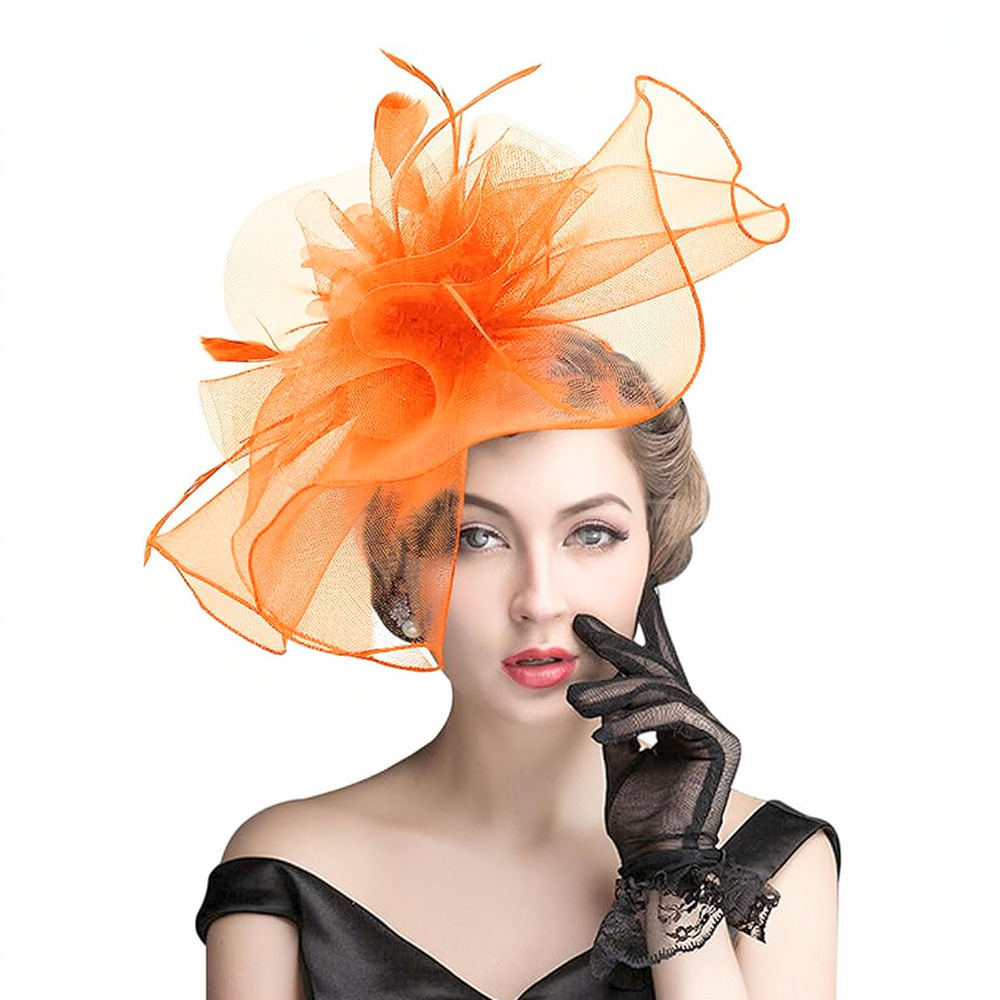 Retro Mesh Feather Fascinator  - Women'S Fashion Kentucky Derby recension och pris